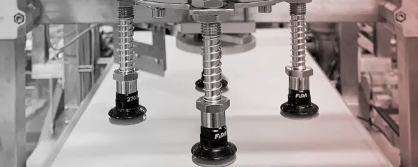 Sonderverpackungsmaschine mit Pickersystem
